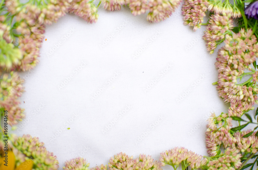 Colorful blossom autumn flower. Frame from the blossom flowers. White background with floral decoration