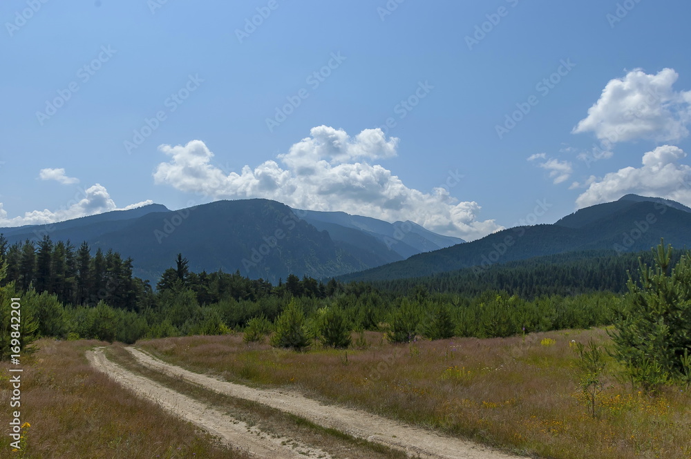 Majestic mountain top overgrown with coniferous forest, glade and path, Rila mountain, Bulgaria 