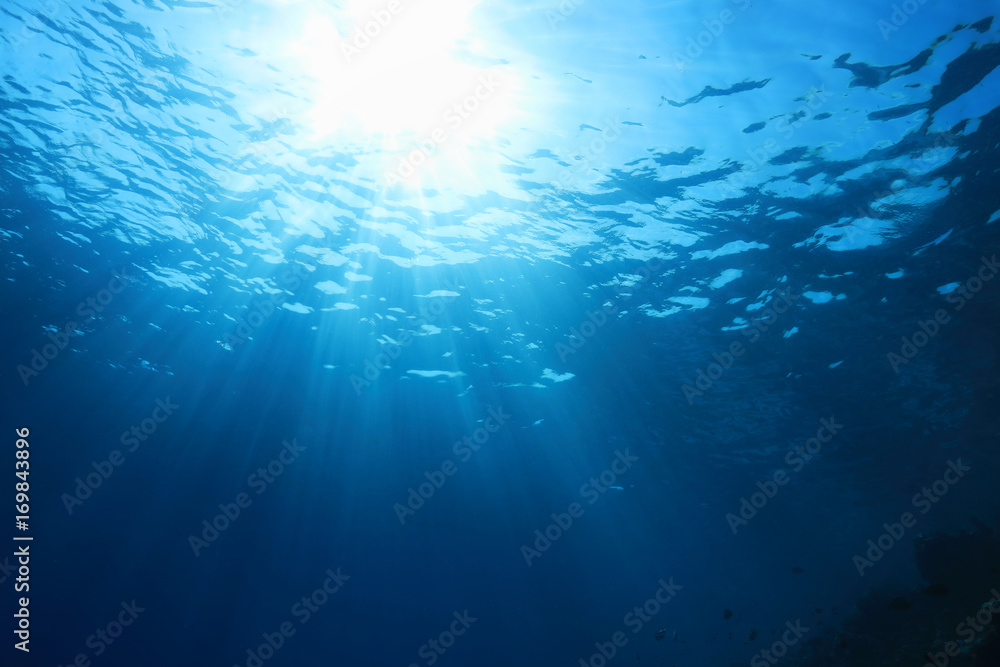 Fototapeta premium Water surface and sunlight