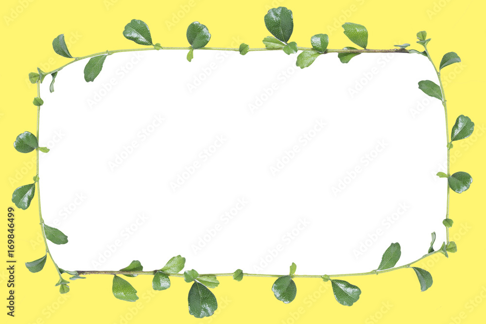 leaf picture frame