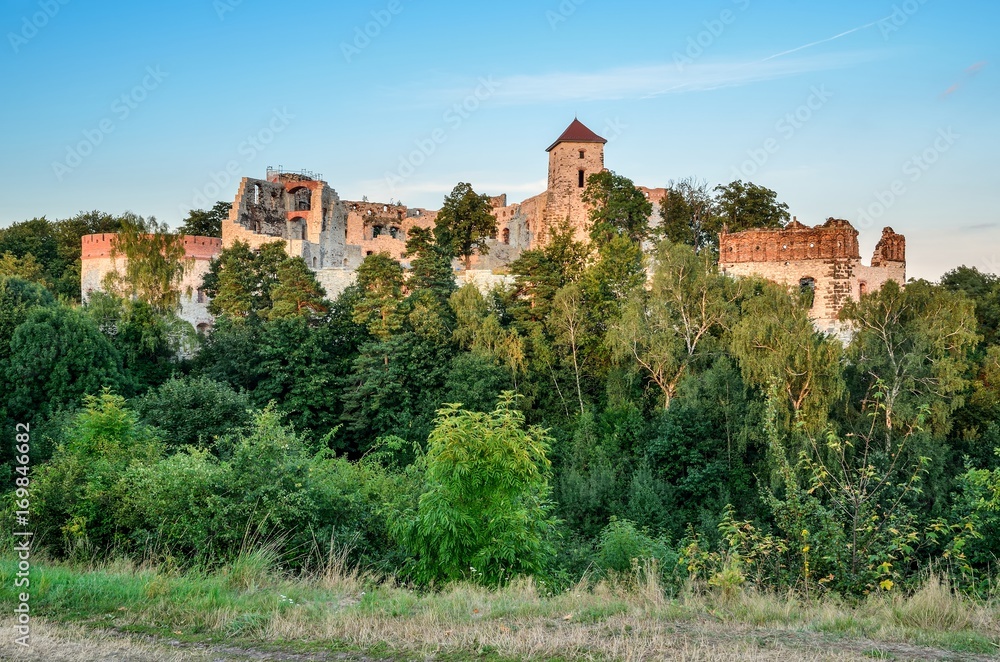 Fototapeta premium Beautiful historic castle ruins on a green hill. Ruins of Tenczyn Castle in Rudno, Poland.