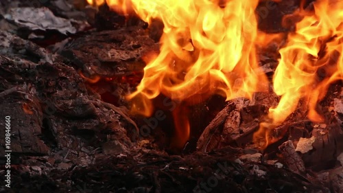 Fire Burns with moving flames and smoke
 photo