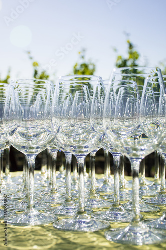 Wine tasting toasting glasses celebration event at a vineyard in Napa Valley