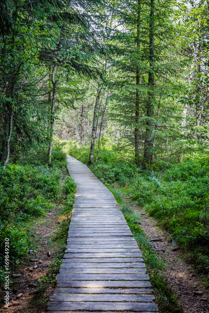 Schonach im Schwarzwald Wandern und Wintersport Schonach im Schwarzwald Wandern und Wintersport