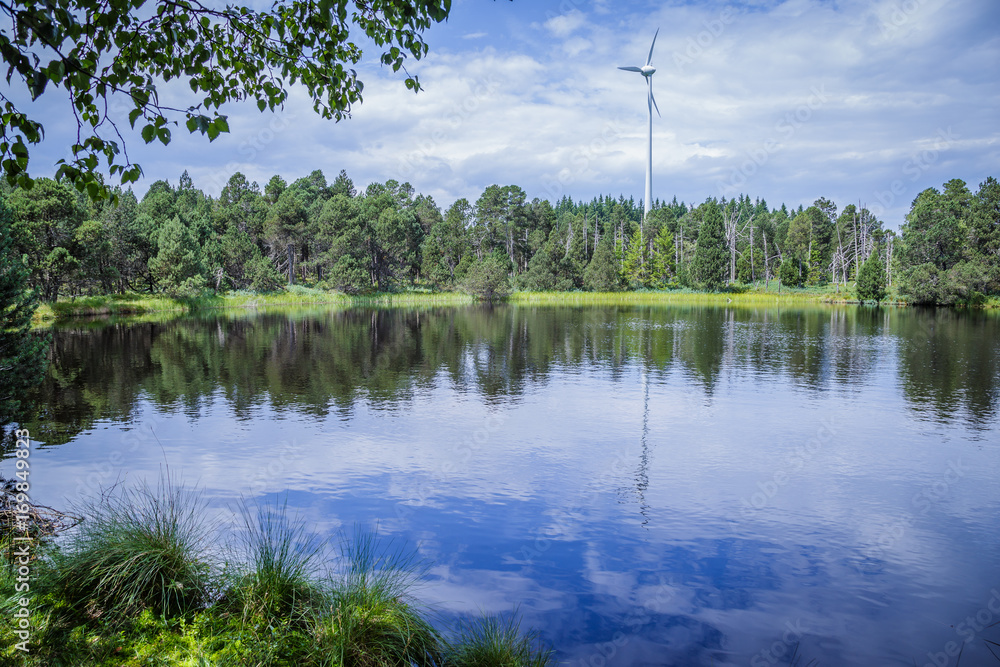 Obraz premium Windkraft bei Schonach im Schwarzwald