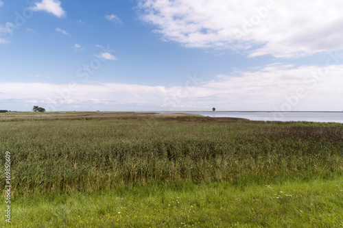 Blick auf die Ostsee