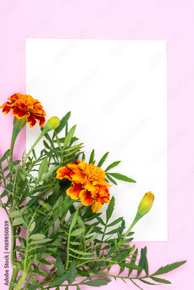 Obraz premium Creative layout for text on pastel colored paper