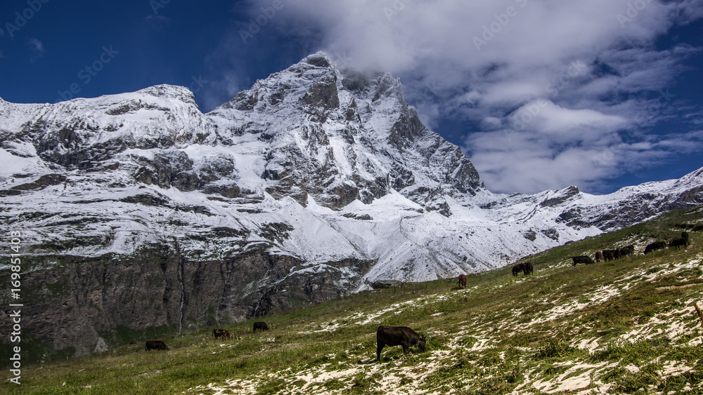 Landscape view of the south face of the Matterhorn, view from Plan Maison.