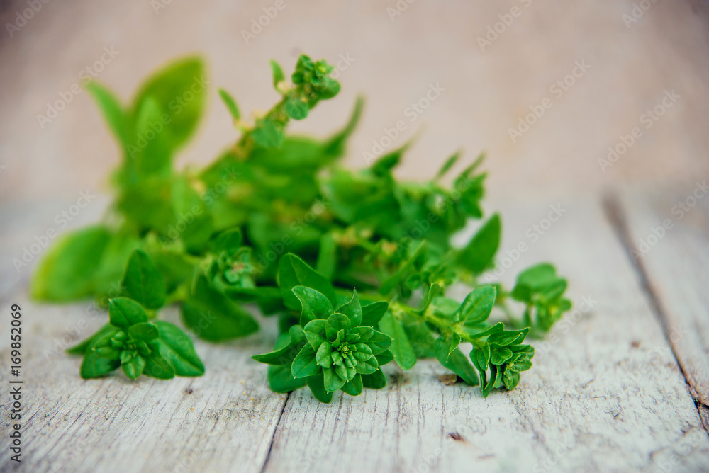 Spinach baby leaves on a white wooden background. copy space Spinach baby leaves on a white wooden background. copy space