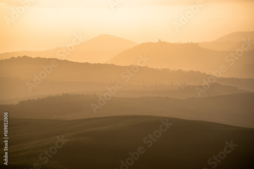 Golden light of Tuscany