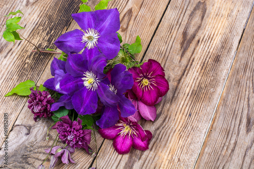 Clematis of different colors