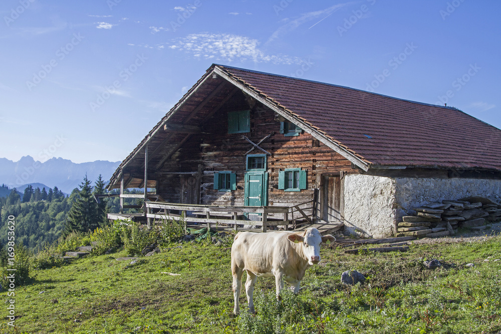 Obraz premium Schweinsteiger Alm im Wendelsteingebiet