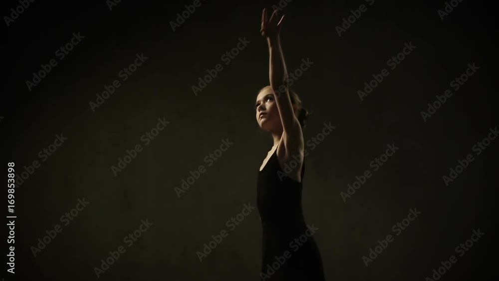 Ballet Dancer Action Ballet Dancer Action