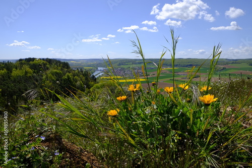 Landschaft und Weinberge bei Stetten, Landkreis Main-Spessart, Unterfranken, Bayern, Deutschland photo