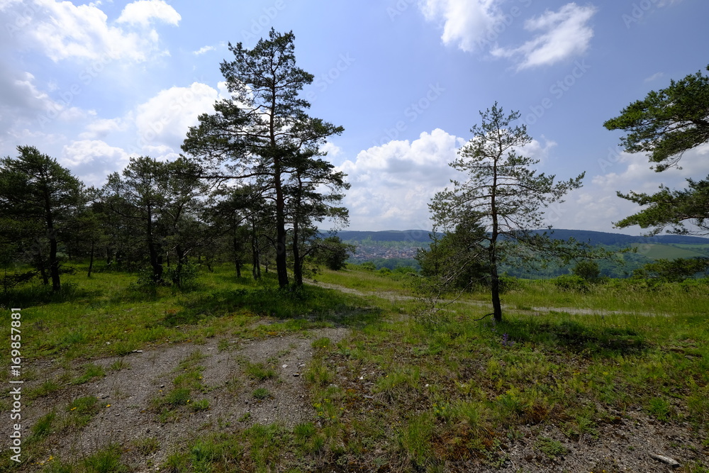 Obraz premium Naturschutz- und Landschaftsschutzgebiet Höhfeldplatte bei Thüngersheim, Landkreis Main-Spessart, Unterfranken, Bayern, Deutschland