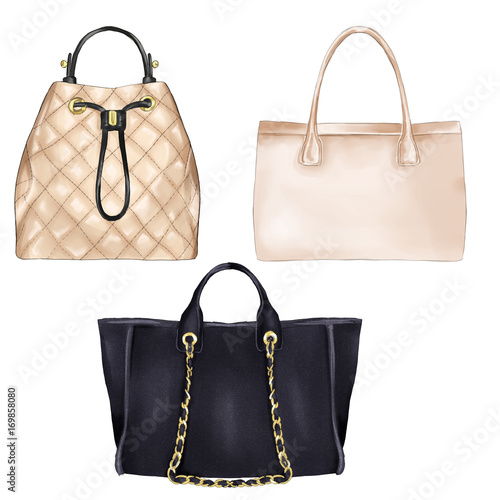 Fashion Illustration - diifferent types of women hand bags  photo