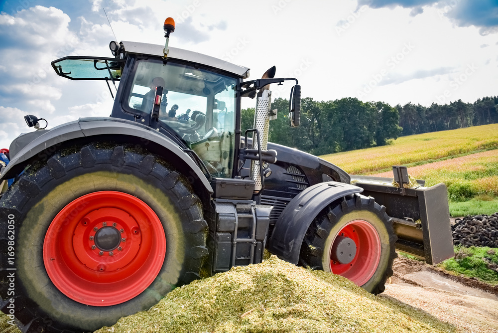 Obraz premium Maisernte - gefährliche Planierarbeit auf Silagehaufen in luftiger Höhe