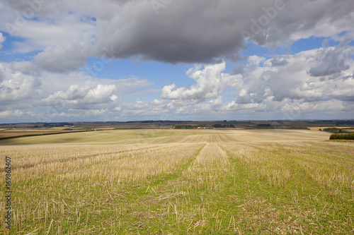 agricultural harvest