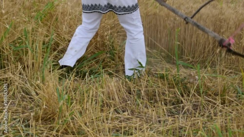Collecting of manually reaped grain on the field July 1, 2017, Zrenjanin, Vojvodina, Serbia