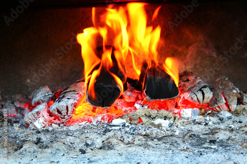 Fireplace. Grill