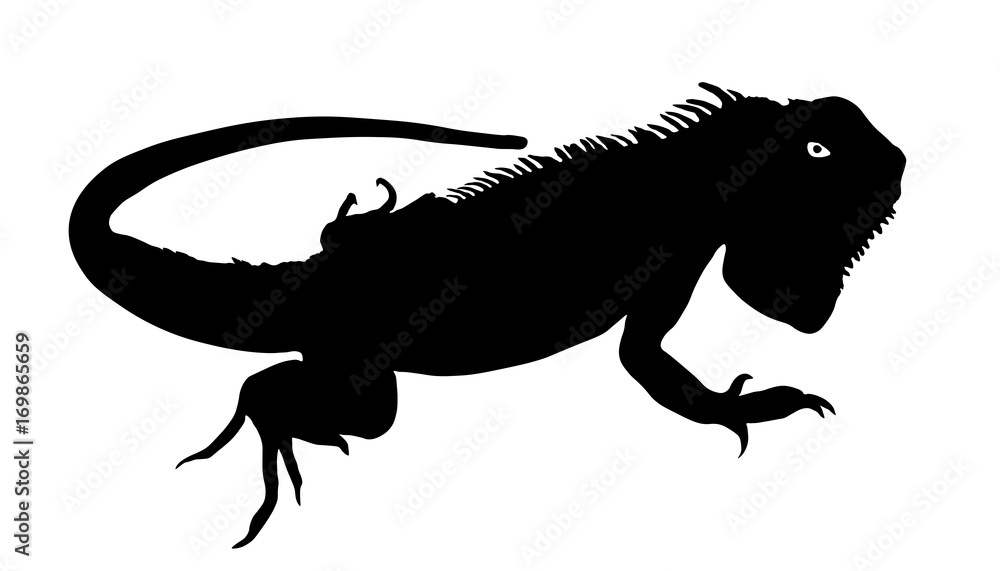 Fototapeta premium Chameleon silhouette vector