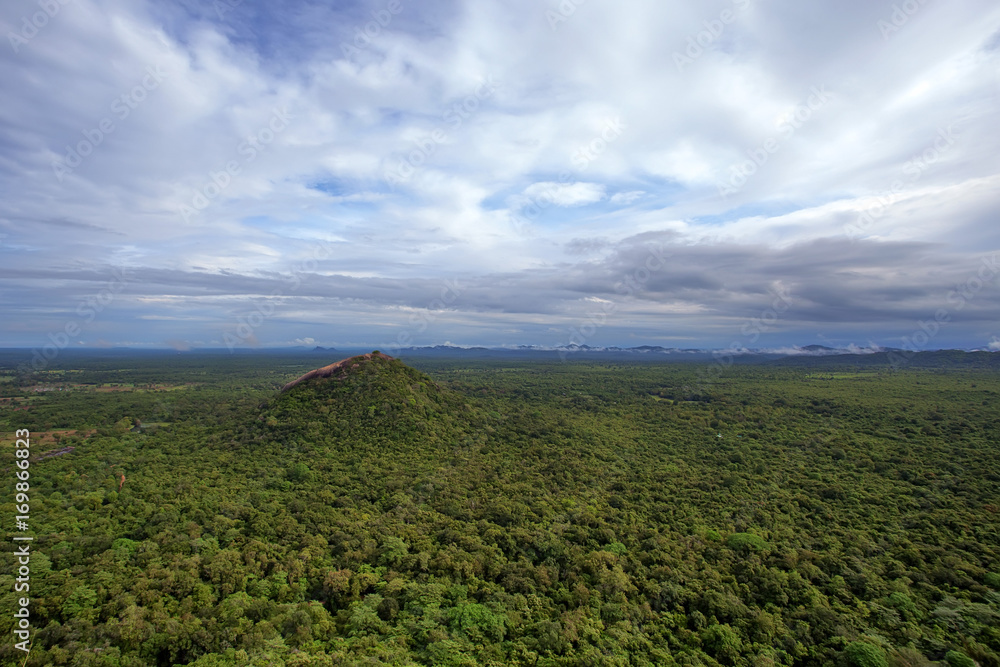 Fototapeta premium Aerial view of tropical forest of Sri Lanka