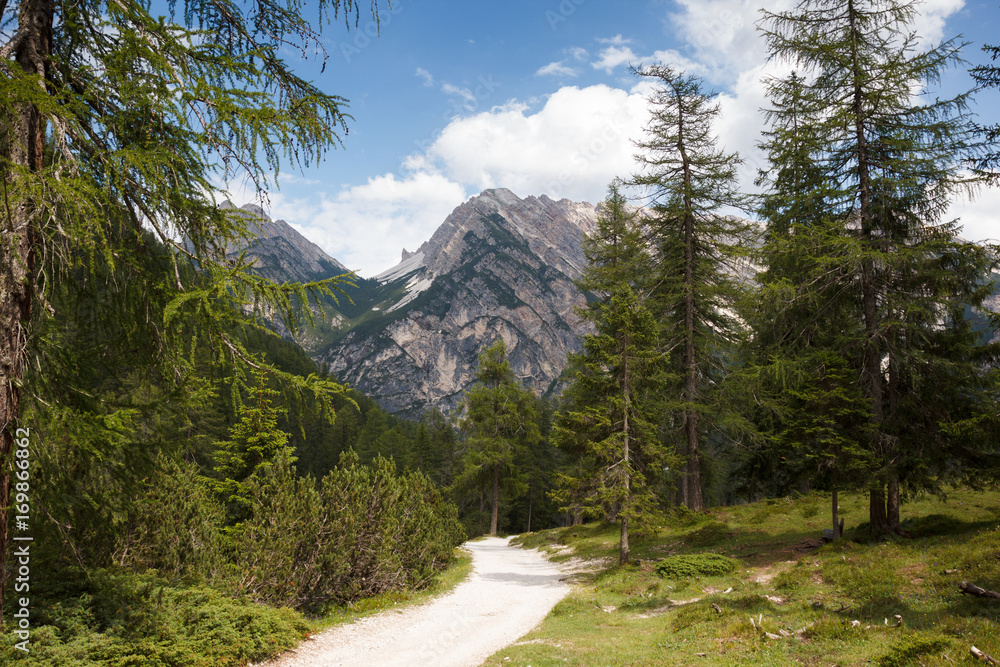 hiking trail near Lago di Braies in Italy