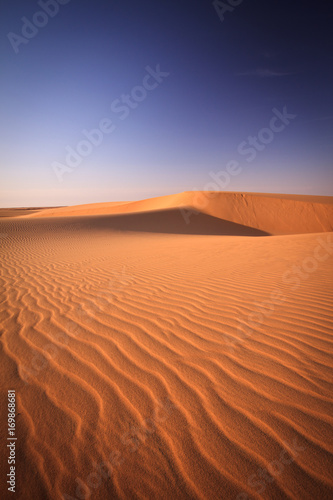 Sahara ripples 2