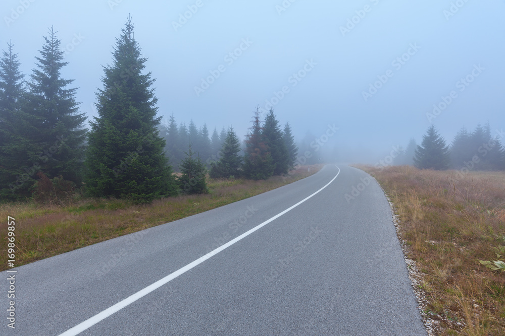 Fototapeta premium Curved asphalt road in mountain forest at bad weather