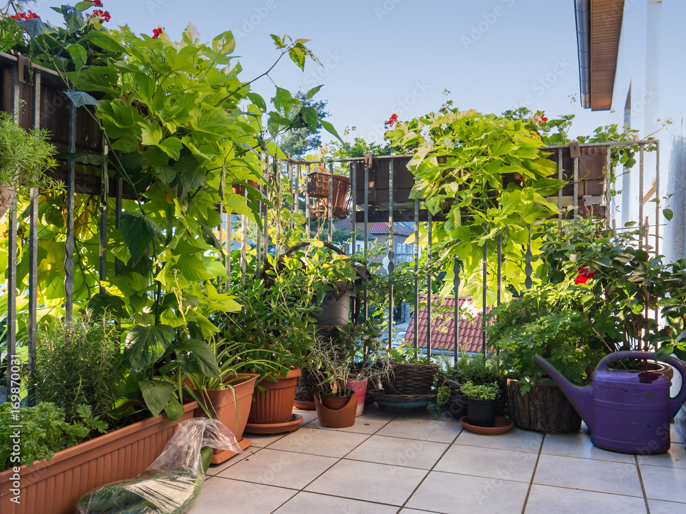 Grüner Balkon in der Stadt