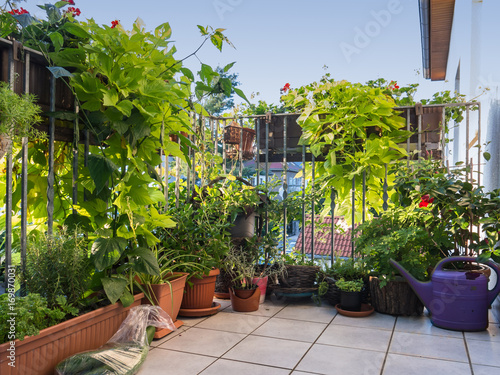 Grüner Balkon in der Stadt Fototapet