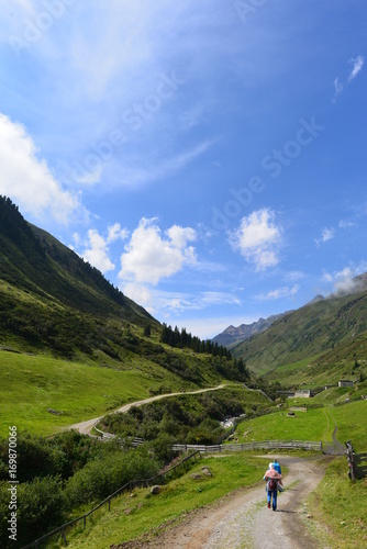 Taschachbach im Taschachtal - Pitztal Ötztaler Alpen- Tirol