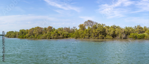  river rhone delta in the camargue