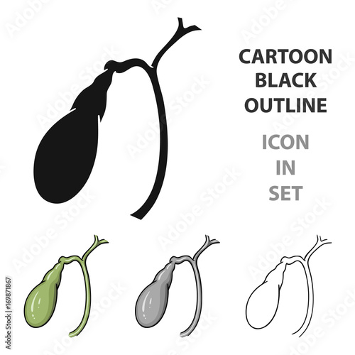 Human gallbladder icon in cartoon style isolated on white background. Human organs symbol stock vector illustration.