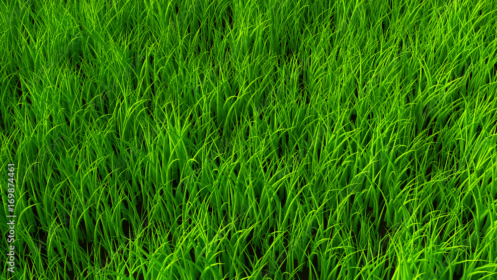 Background with grass. 3d illustration, 3d rendering. Background with grass. 3d illustration, 3d rendering.