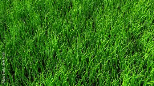Background with grass. 3d illustration, 3d rendering.