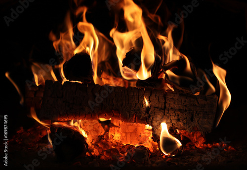 Beautiful burning firewood in the oven