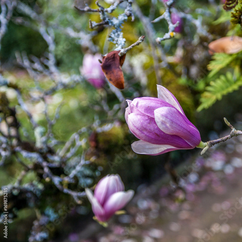 Botanical Garden, Coimbra, Portugal
