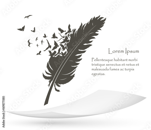 old feather with flying birds and paper