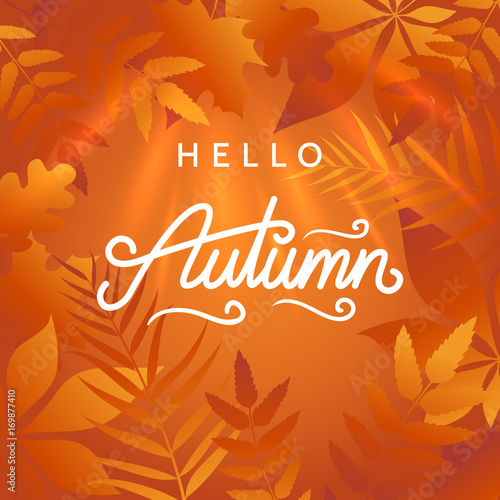 Hello autumn illustration. Abstract background with golden autumn leaves and bright sunlight. Hand drawn calligraphy. Applicable for banner, advertisement, poster, flyer. Vector eps 10.