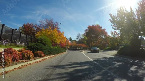 Automobile POV driving along beautiful Autumn tree lined streets of Stirling in the Adelaide Hills