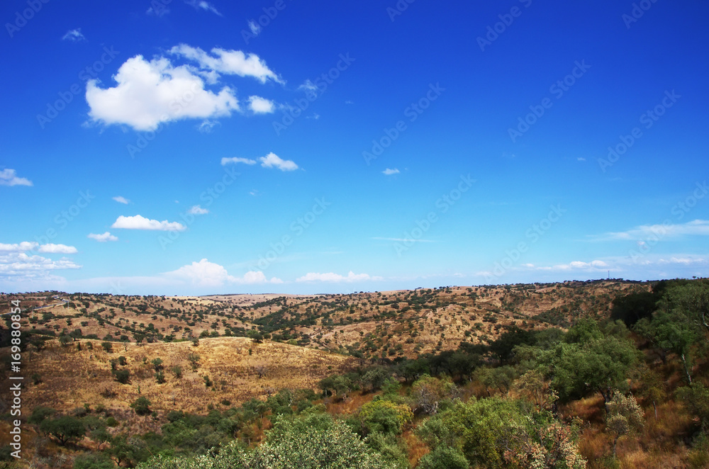  typical dry landscape of Alentejo region,south of Portugal