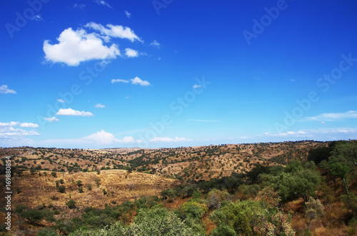  typical dry landscape of Alentejo region,south of Portugal © inacio pires