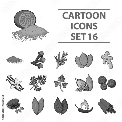 Herb and spices set icons in monochrome style. Big collection of herb and spices vector symbol stock illustration