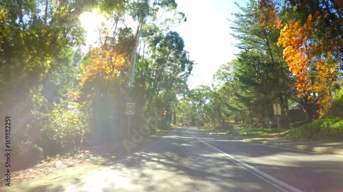 Automobile POV driving along beautiful Autumn tree lined road from Aldgate to Bridgewater in the Adelaide Hills, South Australia. photo