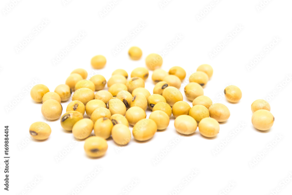 close-ups of soybeans isolated on white background close-ups of soybeans isolated on white background