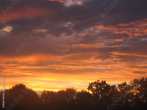 Orange Sunset Clouds with Trees
