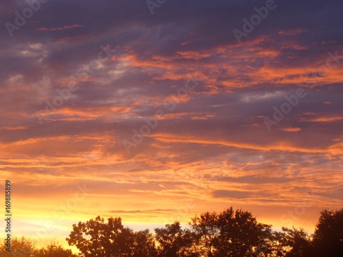 Sunset Clouds with Tree Line