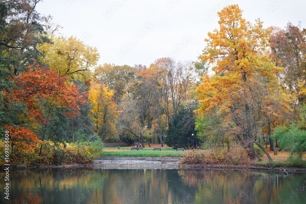 Fototapeta premium Yellow, orange, red leaves on trees in autumnal park