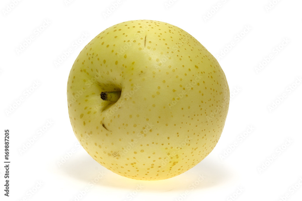 Chinese pear

